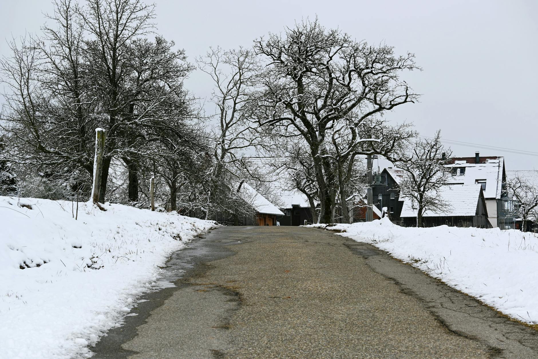 Mikołów szuka partnera: przetarg na spółkę z udziałem gminy